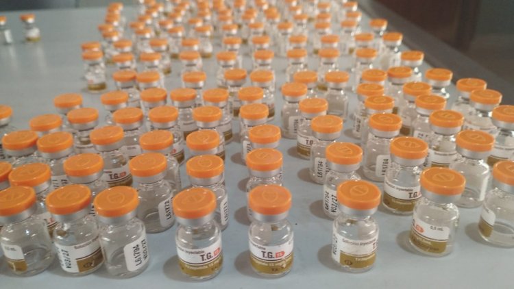 POLÍCIA MILITAR RODOVIÁRIA APREENDE MAIS DE R$ 300 MIL EM MEDICAMENTOS CONTRABANDEADOS NA MGC-497