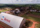 Tereos abre cerca de 400 vagas de emprego para a safra 26/27 no Noroeste Paulista